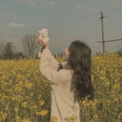 球探比分旧版大全app下载